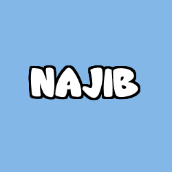 NAJIB