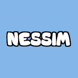 NESSIM