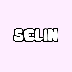 SELIN