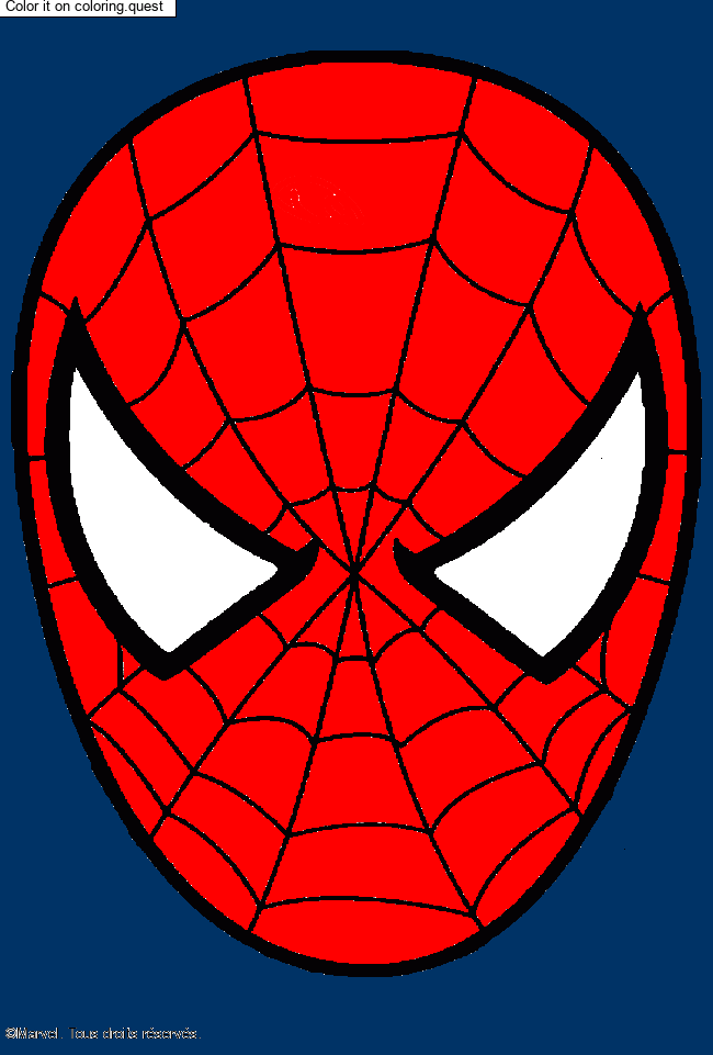 Spiderman mask by a guest