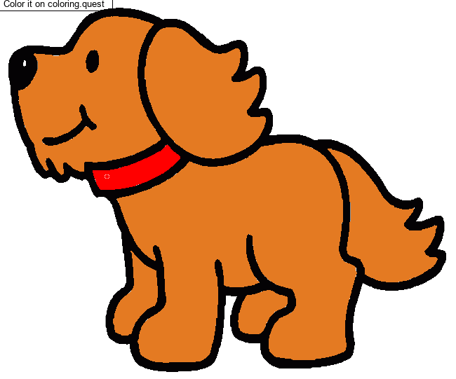 Dog by a guest