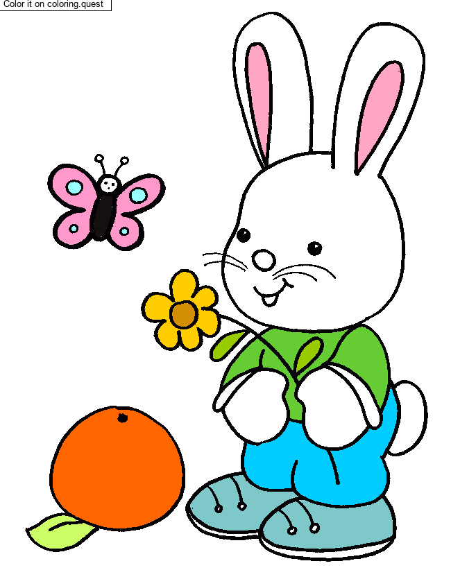 Little Bunny and Flower by a guest